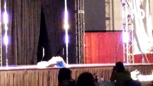NAPDCC 2016 Erotic Pole Art - Leah Franklin2 смотреть онлайн
