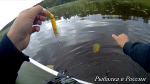 Ловля щуки в кувшинках на спиннинг . Воблеры . JACKALL MAGALLON