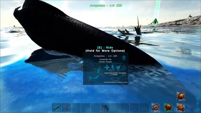 Additional Creatures Senior Class Spotlight :: Arapaima :: CSSC-2 смотреть онлайн