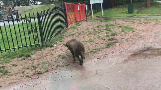 Англия. Влог. Гуляем. Китайская еда