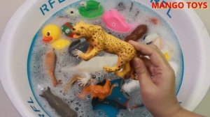 Learn Sea Animals Names and Wild Zoo Animal Names in Baby Bathtub For Kids - Mango Toys