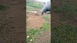 разметка фундамента, угол 90'