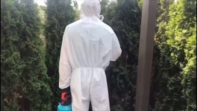 Whispering Paws And Fur