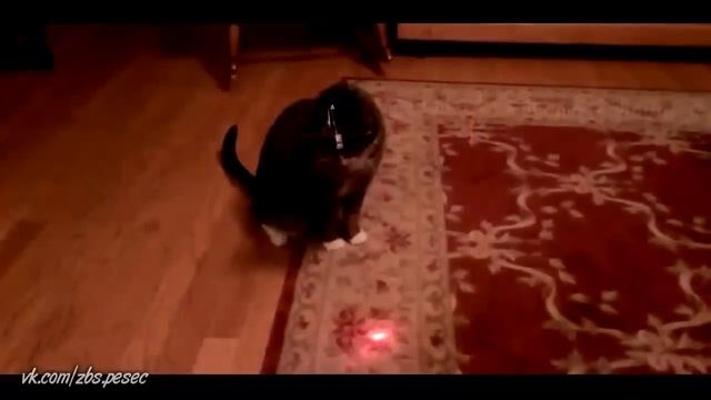 Best funny moments Полный песец part 16 смотреть онлайн