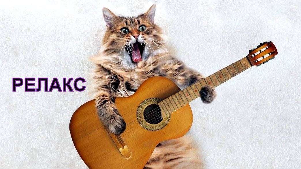 Кот Музыка Гитара Фортепиано Медитация - 300 минут релаксации. смотреть онлайн