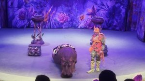 "История хрустальной туфельки". Уголок Дедушки Дурова. 08.03.2025