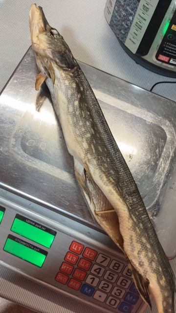 Мировой закусон!