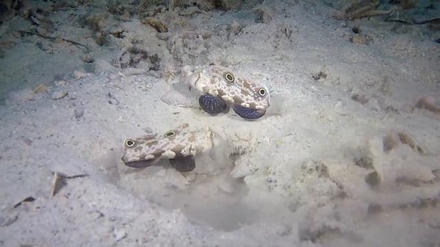 Генеральная уборка квартиры