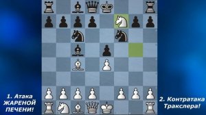 Атака ЖАРЕНОЙ ПЕЧЕНИ и контратака Тракслера!