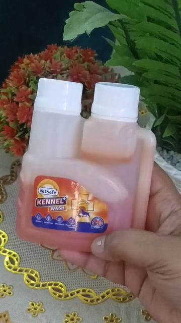 vet safe kennel wash #youtubeshorts #shortsvideo #viral смотреть онлайн