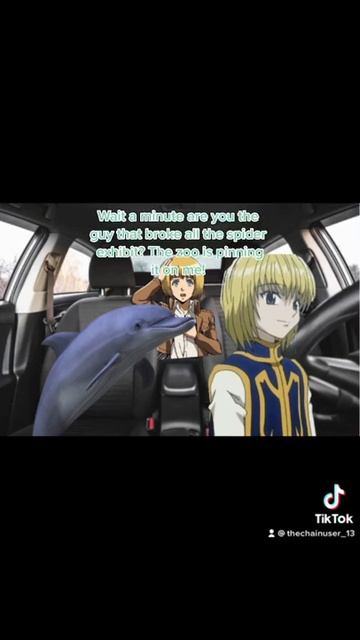 Picking Up Dolphin 🐬