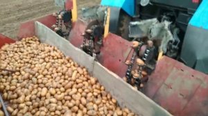 Посадка Картофеля Трактором мтз 82.1 . Ультра Раний картофель.