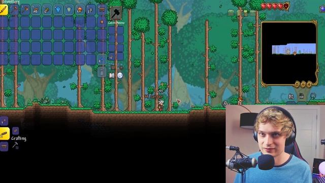 TERRARIA IS EPIC AGAIN AND HERE'S WHY