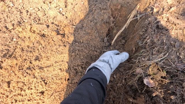 GX020186 смотреть онлайн