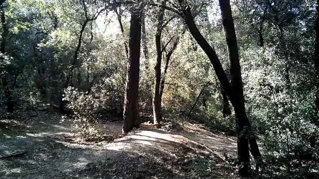 Enduro MTB / Downhill / Bcn / Sant Cugat смотреть онлайн