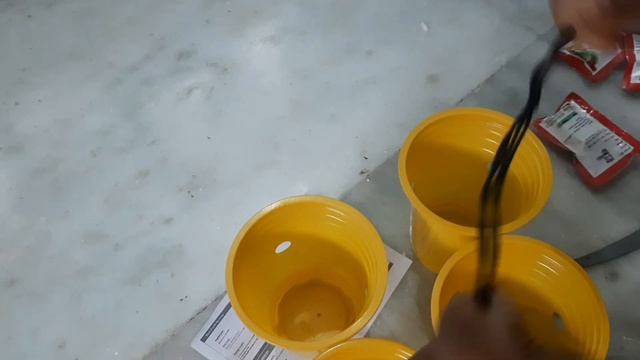 Unboxing Chipku Melon Fly (Bactocera cucurbitae) Pheromone Trap Eco Trap with Melon Fly Lure смотреть онлайн