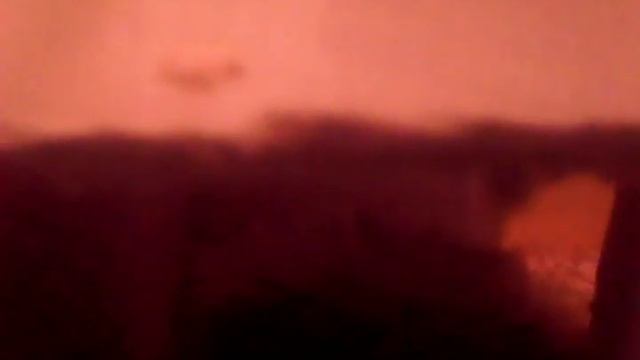 УРА СИРИЙСКИЙ ХОМЯК!!!