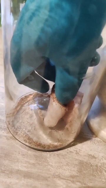 обезвредить соленую рыбу #еда #пп, #нутрициолог