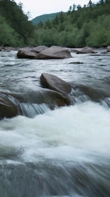 #drawing nature #nature #house in nature