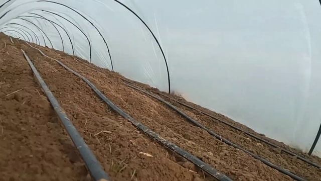 Коротко о Погоде на Херсонщині 31 Березня 16:45 смотреть онлайн