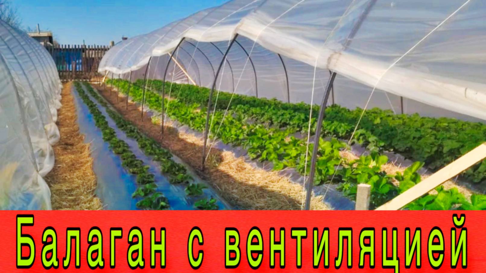 Балаган с вентиляцией #топыкатегорий