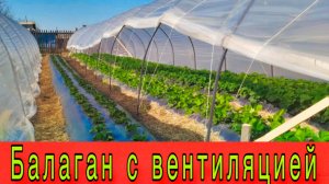 Балаган с вентиляцией #топыкатегорий