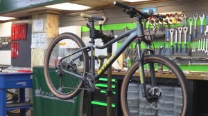 Stark Viva 3 2025 года - новое поколение женских велосипедов в обзоре Veloline