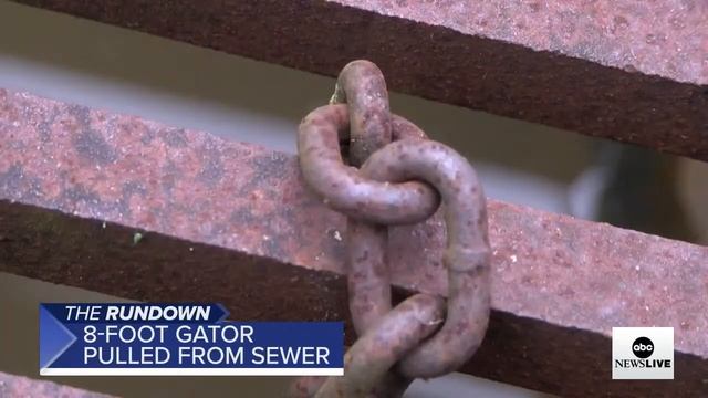 ABC News Prime: FTX founder sentenced; Key Bridge recovery effort; Women behind the Diamond Distric смотреть онлайн