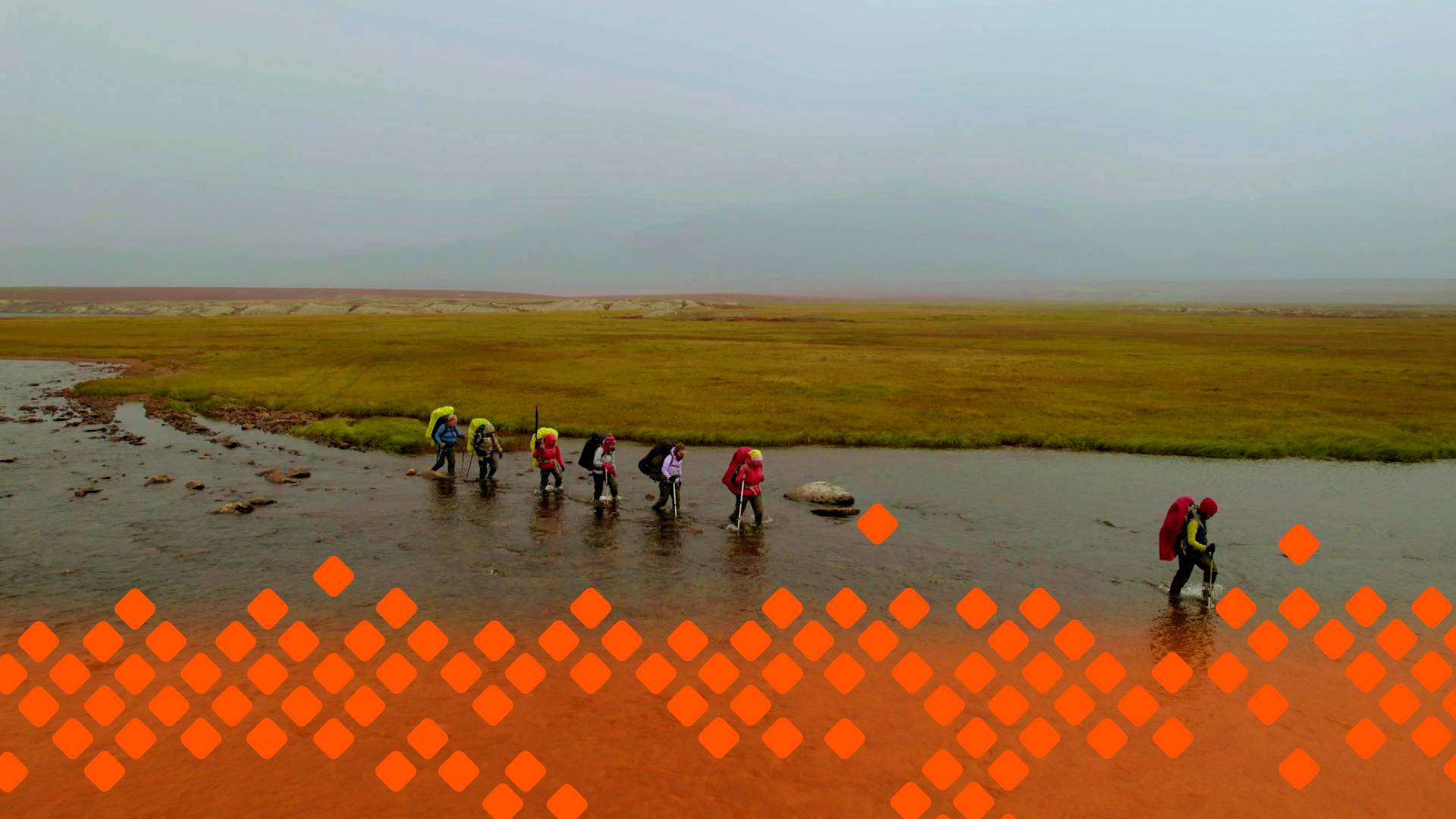 «Привет, дорогой дневник...»    (08.03.25)