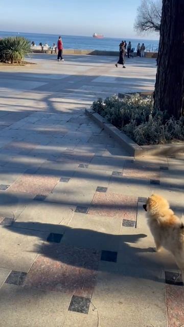 Мирочка 💖💖💖 смотреть онлайн