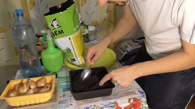 КАК ПРАВИЛЬНО САЖАТЬ РЕПЧАТЫЙ ЛУК ИЛИ ЛУК СЕВОК МОСТОВЫМ СПОСОБОМ НА ЗЕЛЕНОЕ ПЕРО смотреть онлайн