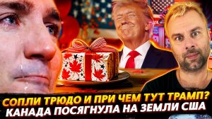 КАНАДА ПОСЯГНУЛА НА ЗЕМЛИ АМЕРИКАНСКИЕ И ПРИ ЧЕМ ТУТ СОПЛИ ТРЮДО?