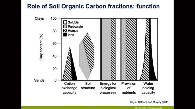 Professor Daniel Murphy - Doing more with less soil forum 2013 смотреть онлайн