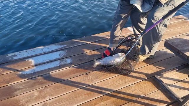 09-03-2025 смотреть онлайн