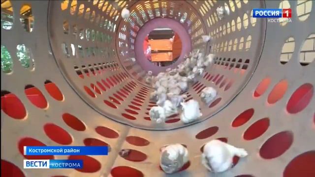 VID_20250309_133014_860.mp4