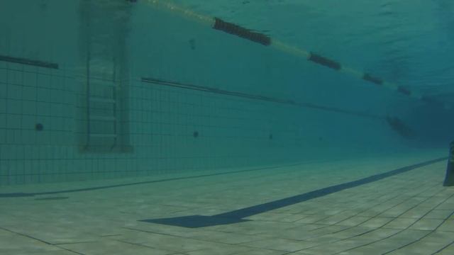 3 Тренировка 17.11.2015, фридайвинг, freediving.spb.ru смотреть онлайн