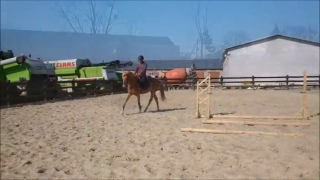 Тренировка Вихрит и Бандаж 26 март 2015 смотреть онлайн