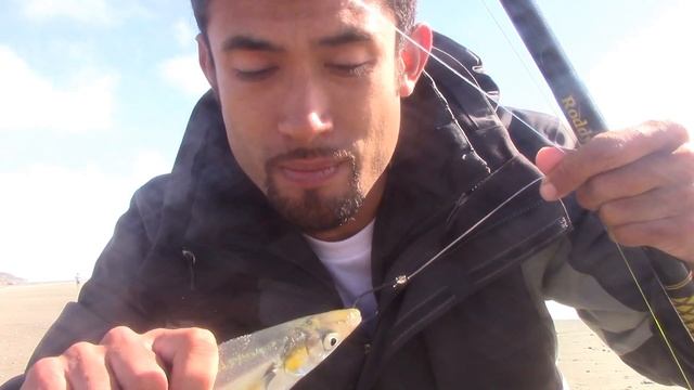 Fishing for Striped Bass using EIGHT Sand Crabs on One Hook...only got Smelt :( смотреть онлайн