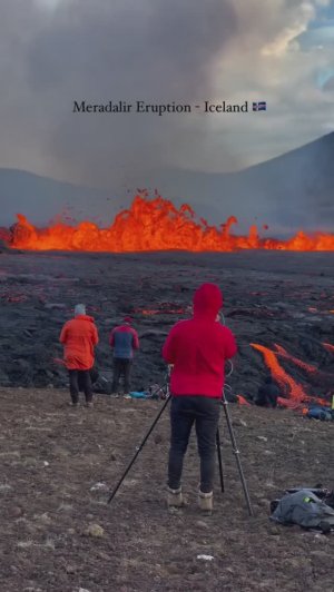 Justnique - Like Dan видеозалипалка _35