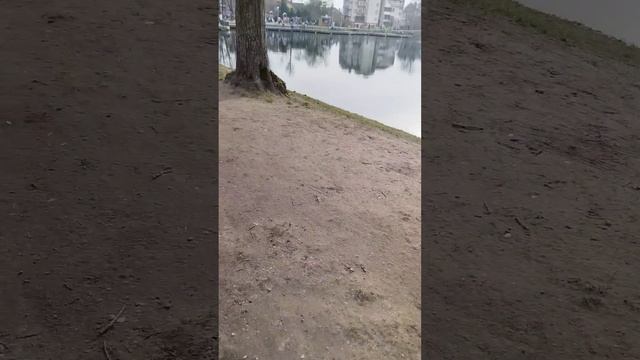 Обзор О. Поплавок