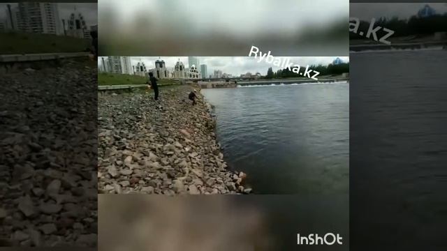 Город Астана,  рыбалка в городе street fishing