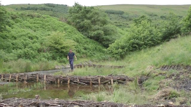 River Restoration And Large Woody Debris In Cwmparc