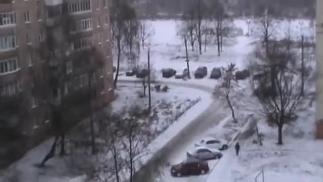 Я на балконе, насыпаю семечки в кормушку