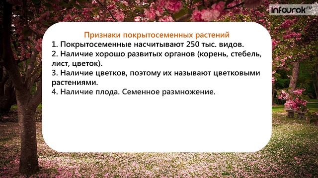 18. Покрытосеменные или цветковые смотреть онлайн