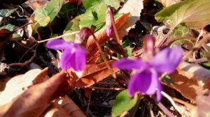 Новомихайловский 09.03.25  весна на подходе 🌱