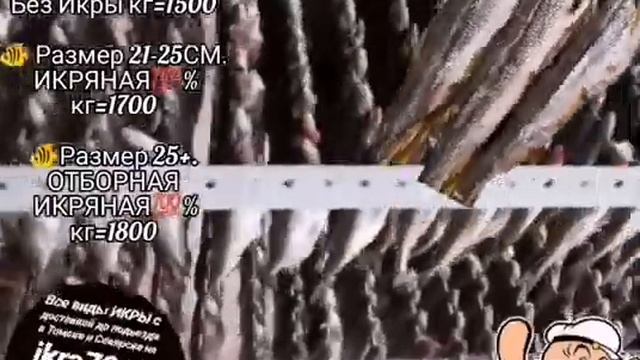 КОРЮШКА🐠ВЯЛЕНАЯ🐠в Томске💒и Северске🏭! Ikra70.ru🔥! 89528871534📲