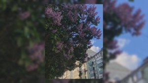 Весенний плейлист 2024/ плейлист для любленых