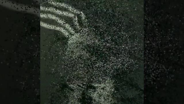 ATUSH SHAX - KECHALAR | АТУШ ШАХ - КЕЧАЛАР @Massa_38 #музыка #новинка #rap