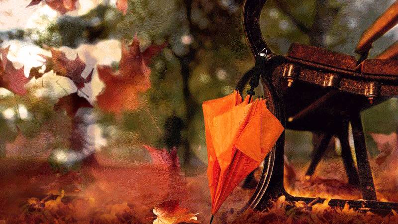 ОПАВШИЕ ЛИСТЬЯ смотреть онлайн