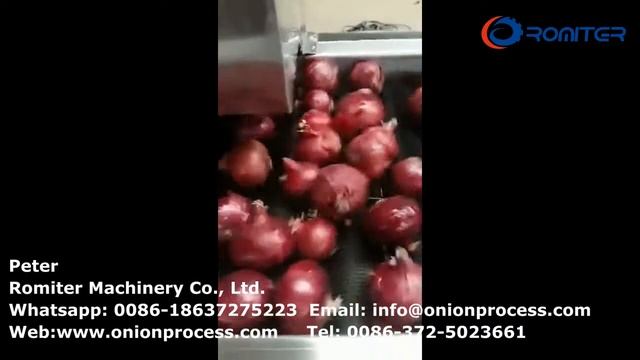 Автоматическая машина для химической чистки лука с отборным конвейером